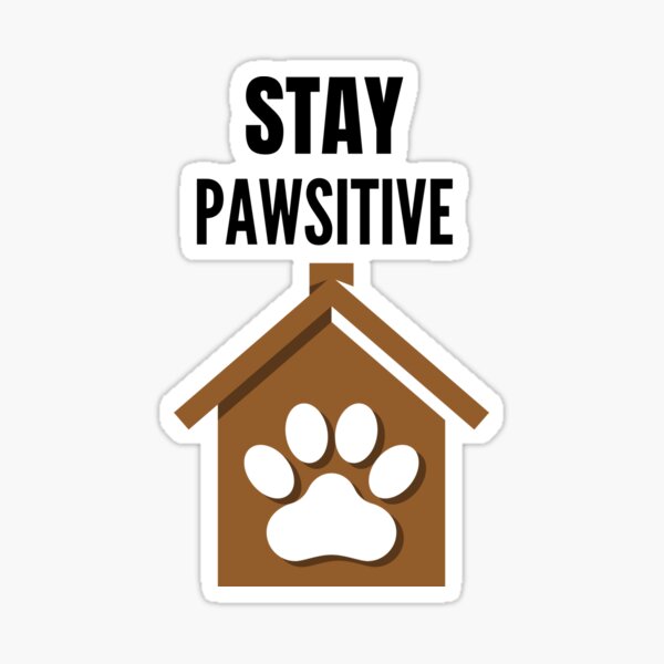 Stay Pawsitive Gift for Cat Lover  Sticker