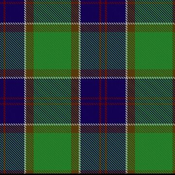 Barr store tartan kilt