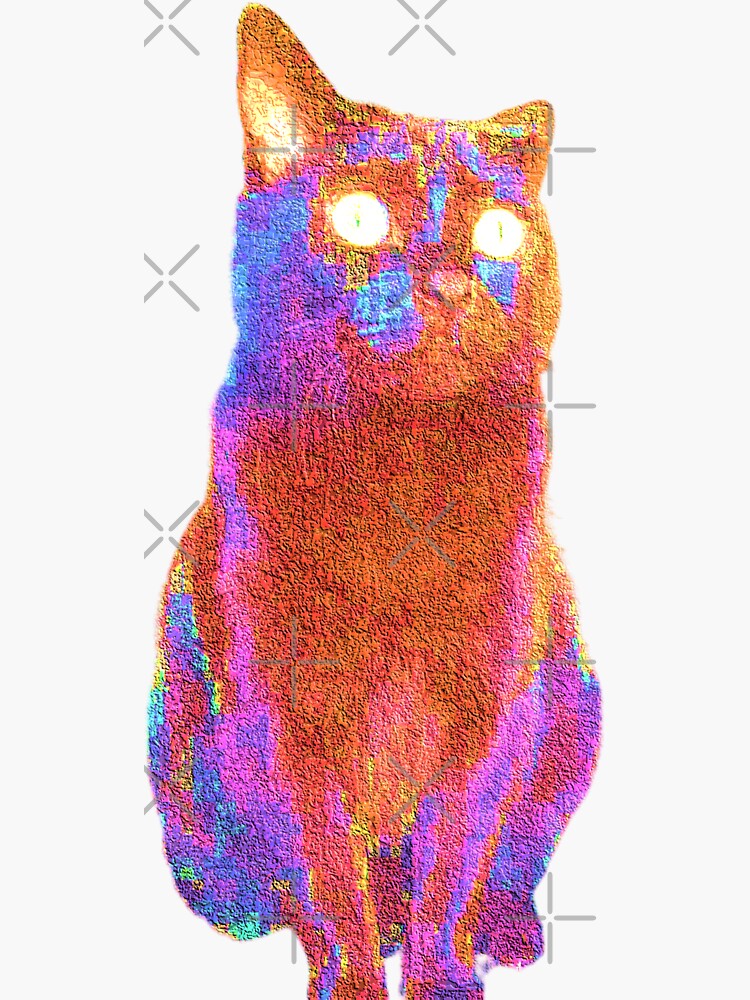 "Fluffy Adam Photo Cat" Sticker by FaneelaBi Redbubble