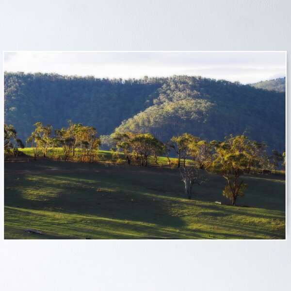 Item preview, Omeo designed and sold by Darren Stones.