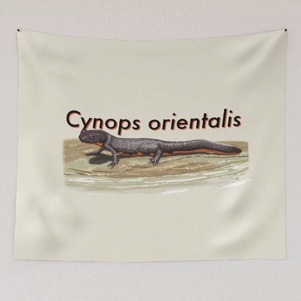 Item preview, Oriental Fire-bellied Newt designed and sold by LeoXiang.