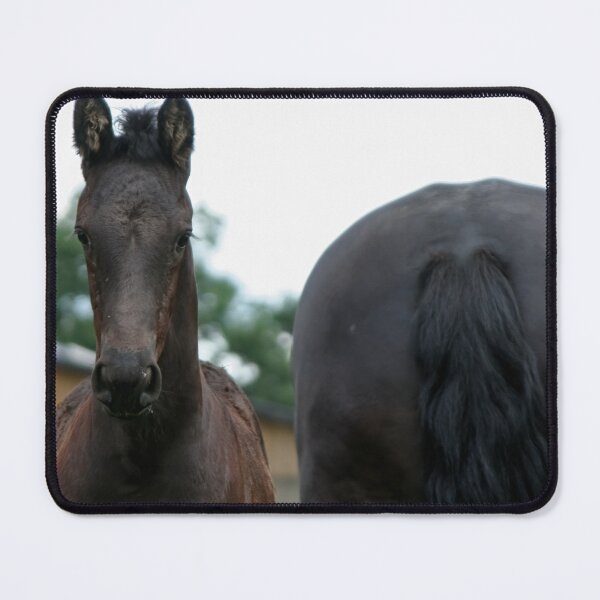 Item preview, Who are you? designed and sold by Calidris Fotografie Steffi & Ben Köppler.