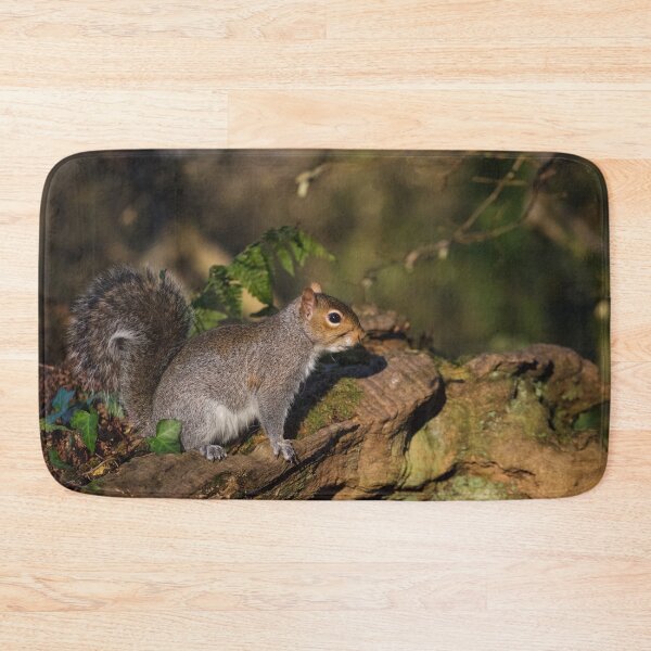 Item preview, Eastern Grey Squirrel designed and sold by heidipics.