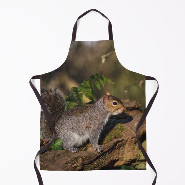 Item preview, Eastern Grey Squirrel designed and sold by heidipics.