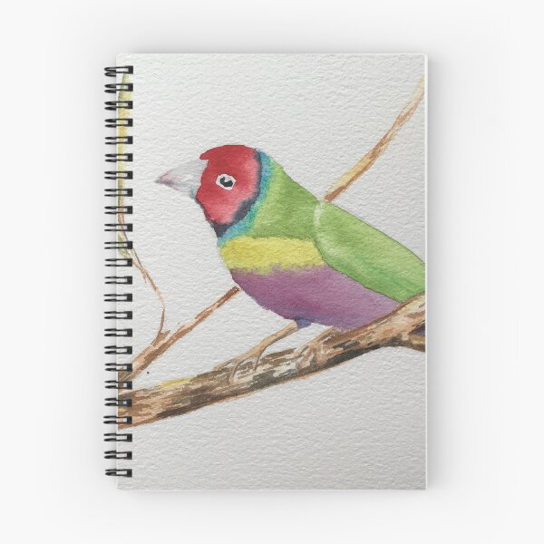 Item preview, Rainbow Finch #2 designed and sold by Martha MacKinnon.