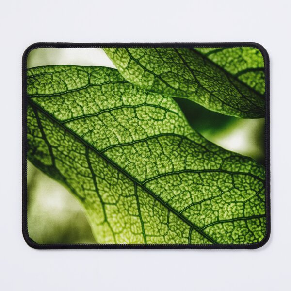 Item preview, Green Leaf Veins designed and sold by FOLK ART FUSION by heidiannemorris.