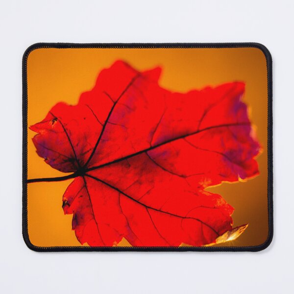 Item preview, Red Autumn Maple Leaf designed and sold by FOLK ART FUSION by heidiannemorris.