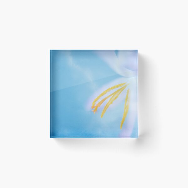 Item preview, Boundless Skies designed and sold by Denise Abé.
