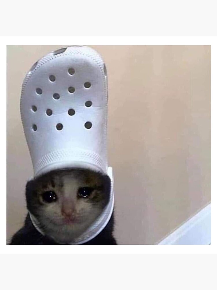 "funny teary eyed cat meme" Poster for Sale by mememerb Redbubble