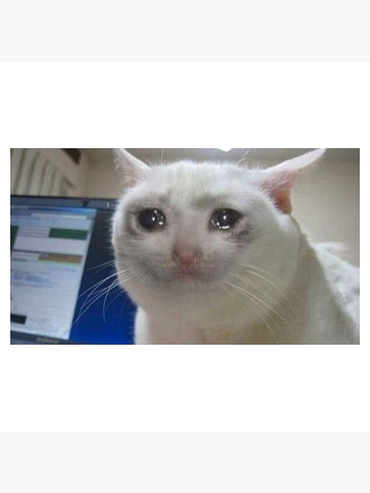 "funny teary eyed cat meme" Poster for Sale by mememerb Redbubble