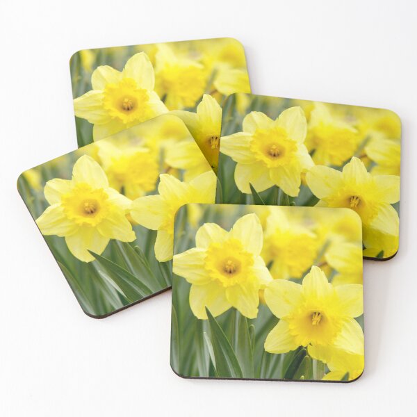 Item preview, Beautiful Yellow Daffodil Flowers designed and sold by silviaol.