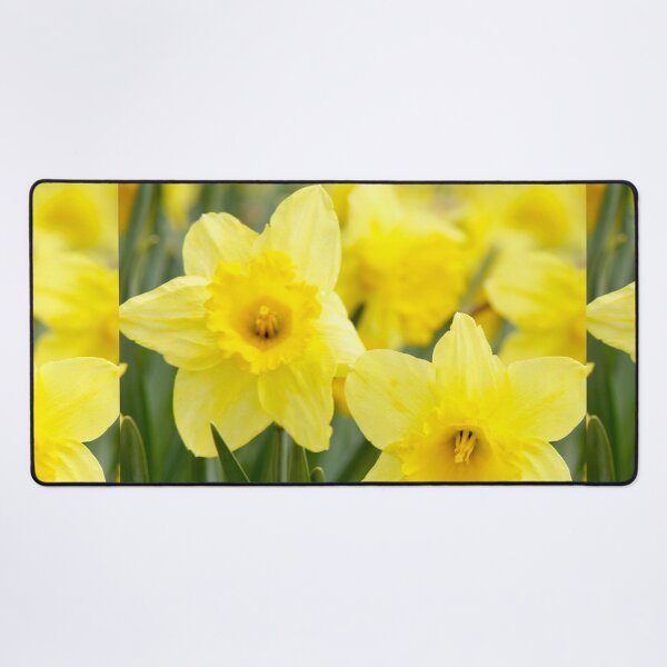 Item preview, Beautiful Yellow Daffodil Flowers designed and sold by silviaol.