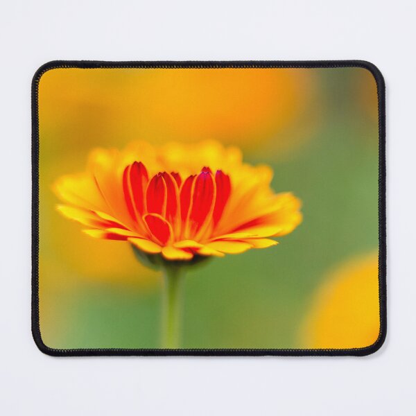 Item preview, Marigold mornings and wildflower afternoons designed and sold by FOLK ART FUSION by heidiannemorris.