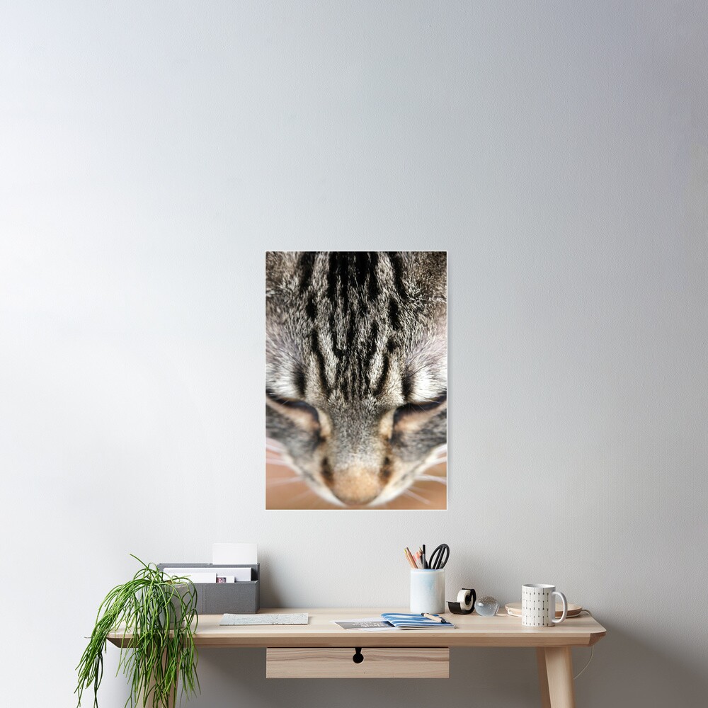 M Poster