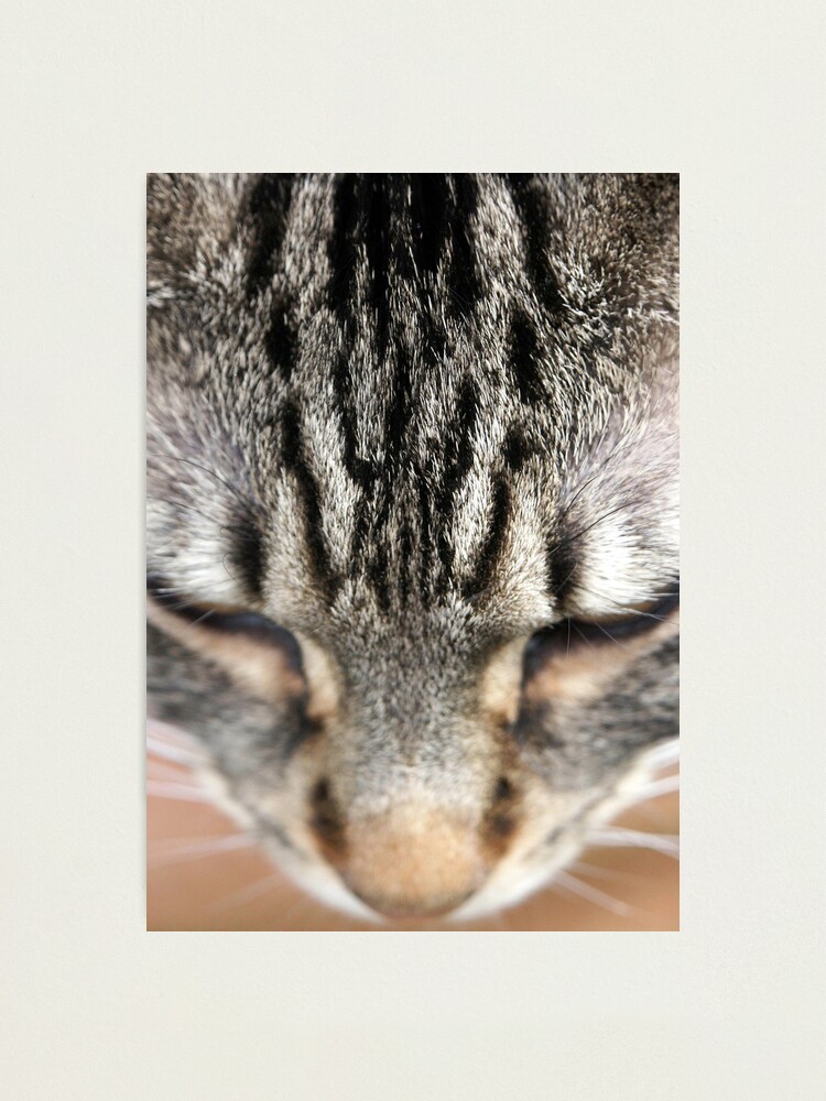 Alternate view of M Photographic Print