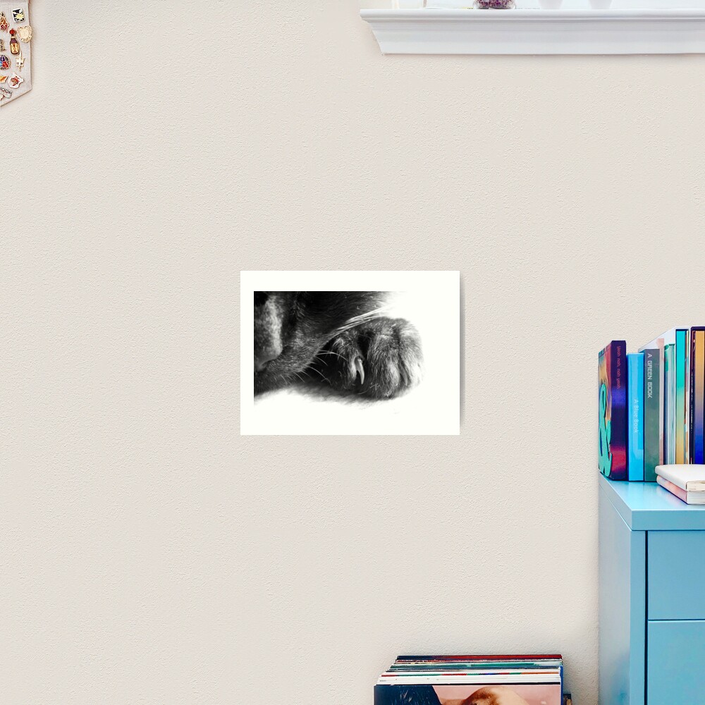 Paw Art Print