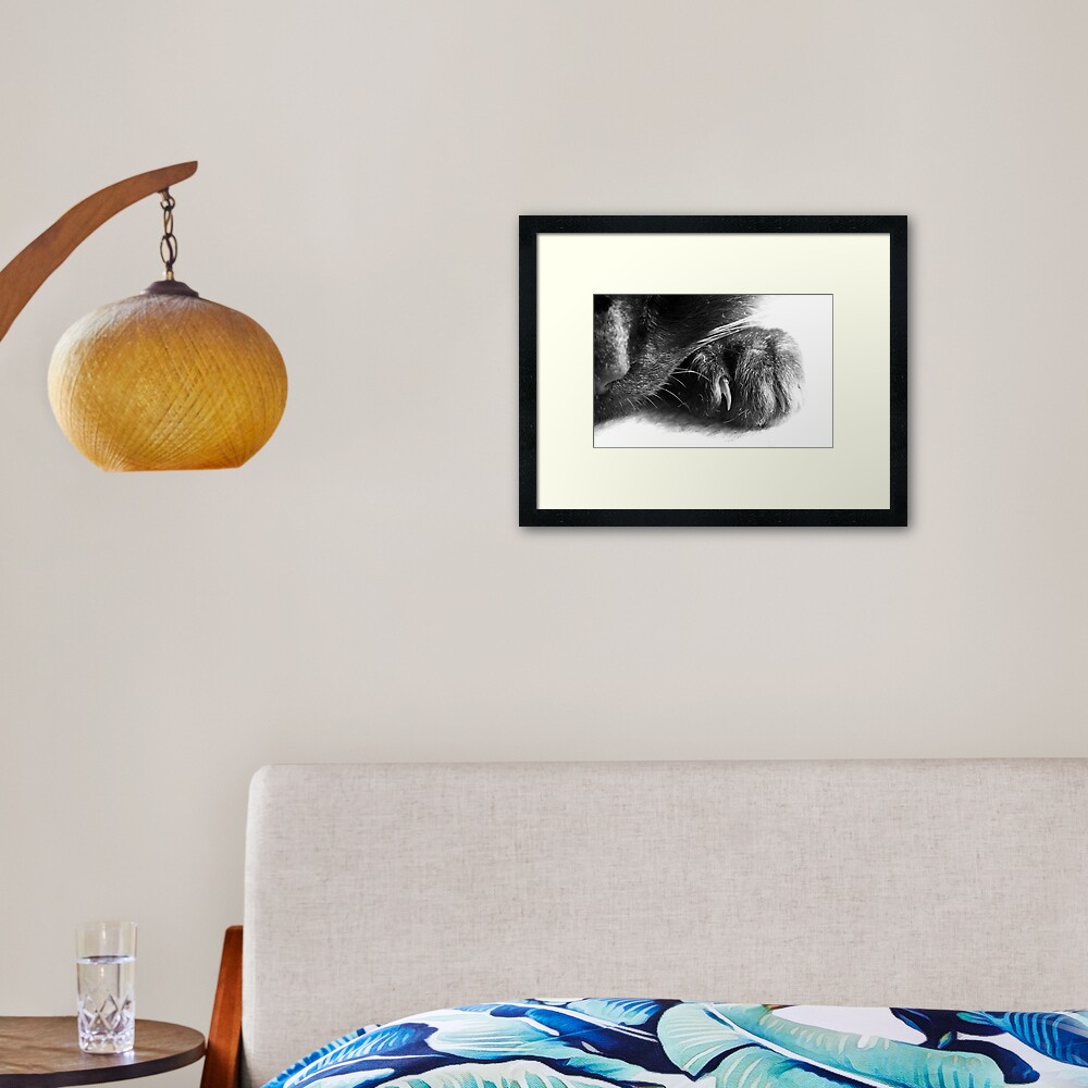 Paw Framed Art Print