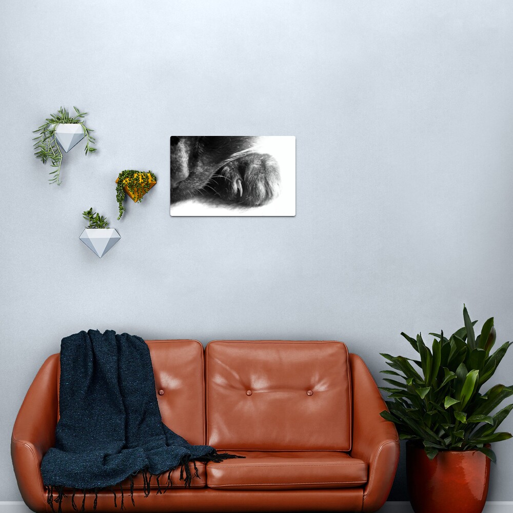 Paw Metal Print