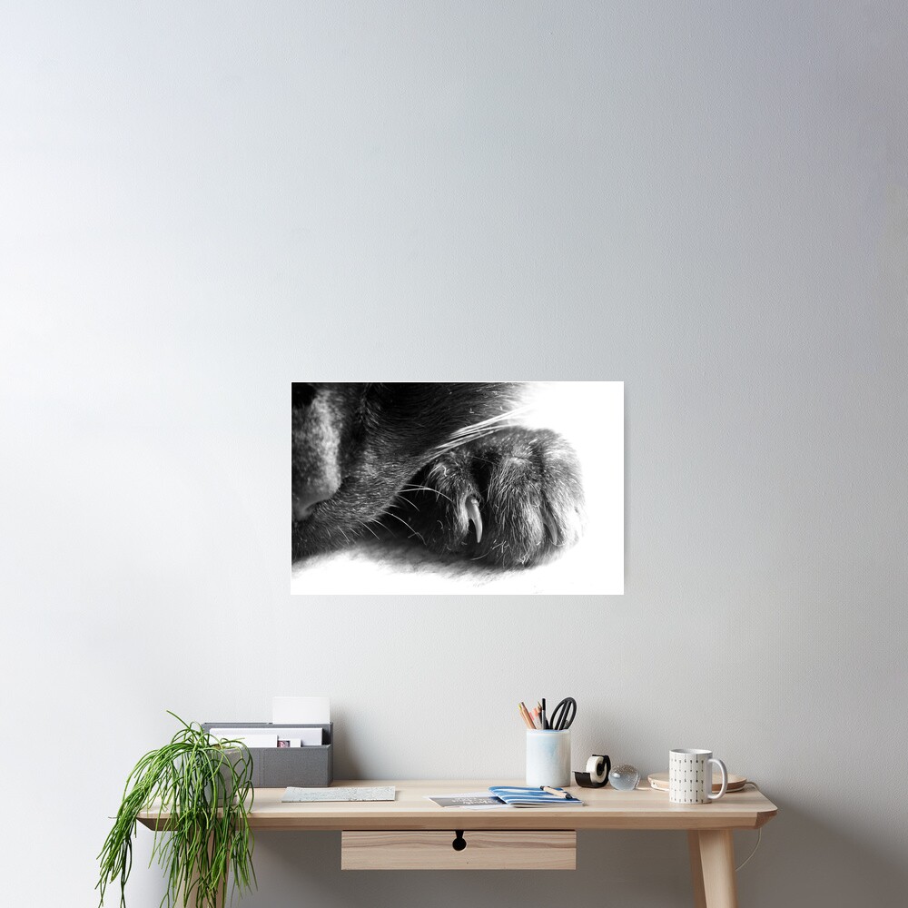 Paw Poster