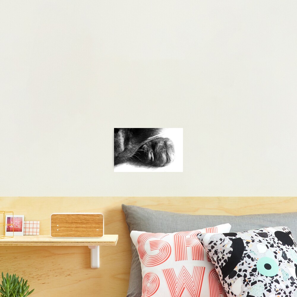 Paw Photographic Print