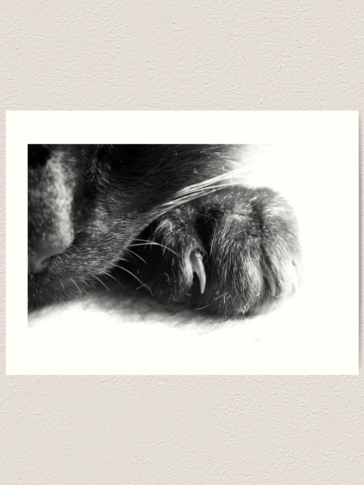 Alternate view of Paw Art Print