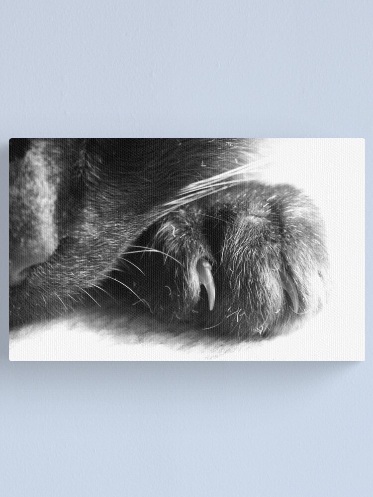 Alternate view of Paw Canvas Print