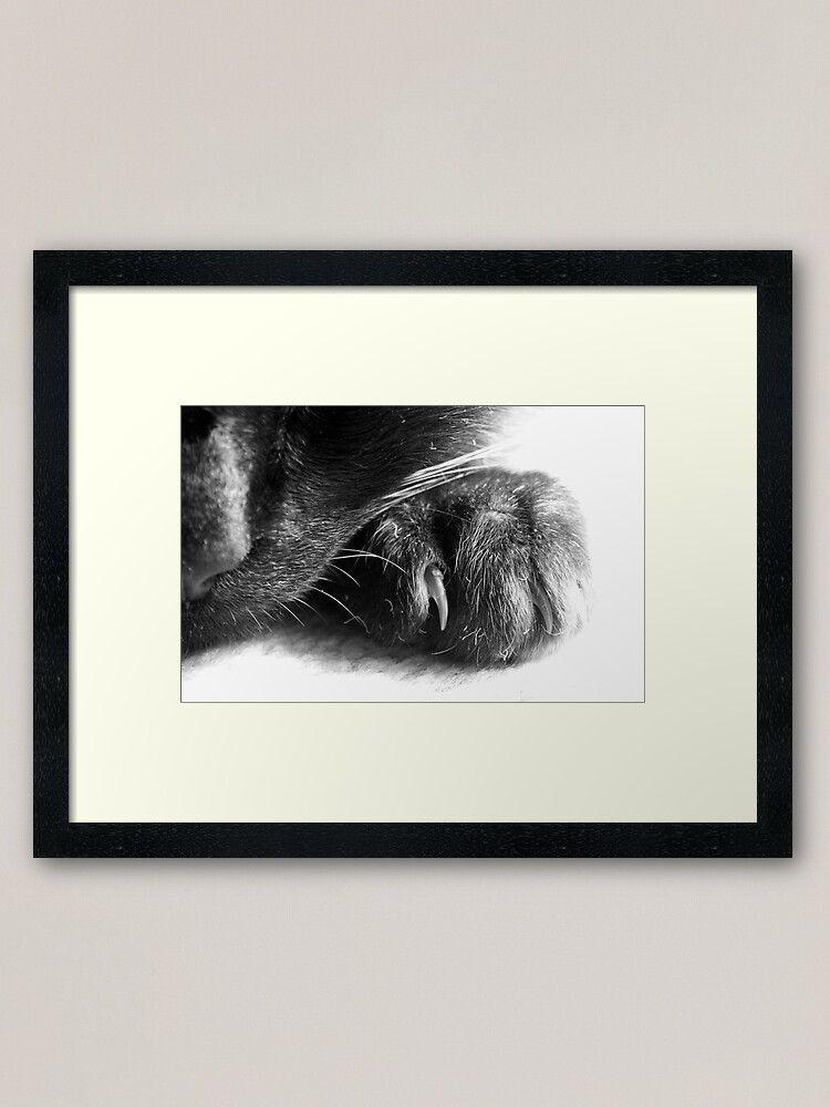 Alternate view of Paw Framed Art Print