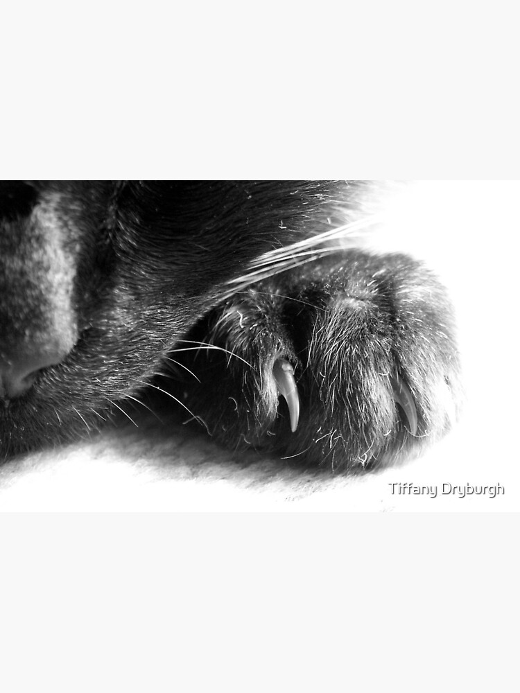 Paw by Tiffany