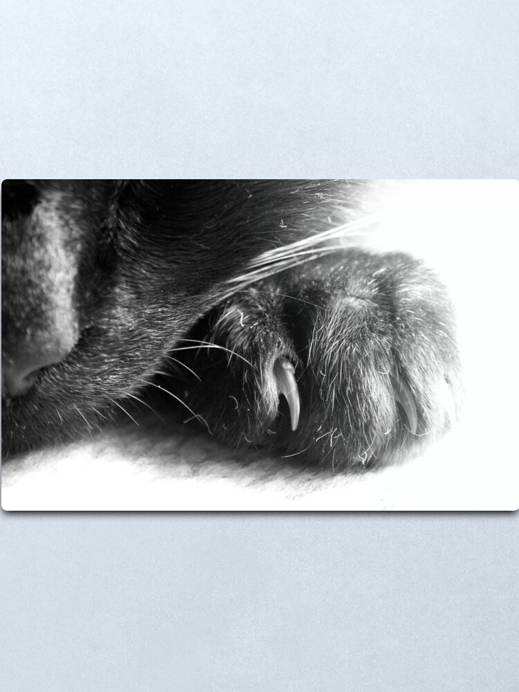 Alternate view of Paw Metal Print