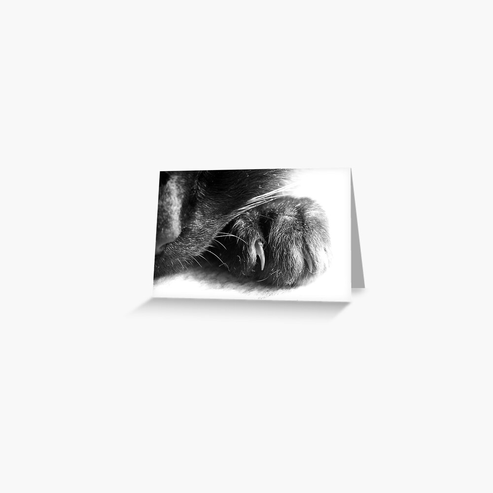 Paw Greeting Card
