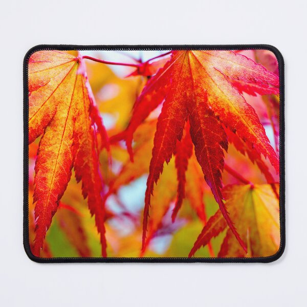 Item preview, Autumn Acer Leaves by heidiannemorris ©️ designed and sold by FOLK ART FUSION by heidiannemorris.