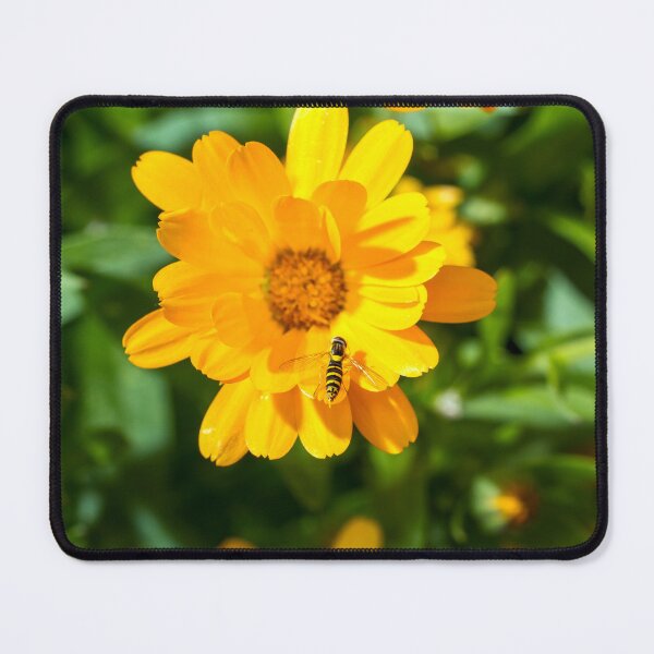 Item preview, Friends with Yellow Benefits designed and sold by FOLK ART FUSION by heidiannemorris.