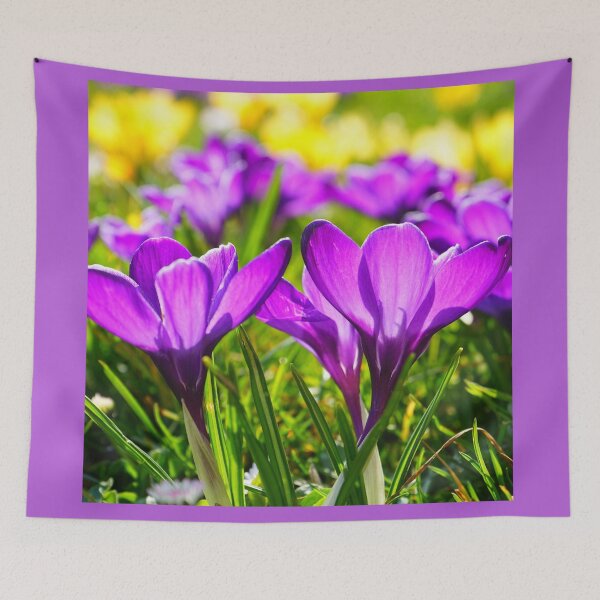 Item preview, Purple Crocus Flowers designed and sold by silviaol.