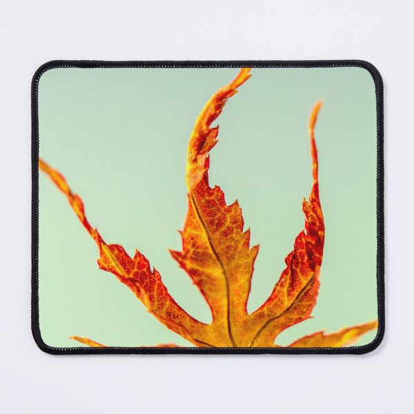 Item preview, Acer Palmatum Leaf by heidiannemorris ©️  designed and sold by FOLK ART FUSION by heidiannemorris.