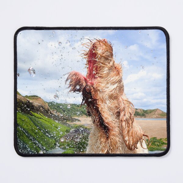 Item preview, Catching splashes at the beach Spinone designed and sold by FOLK ART FUSION.