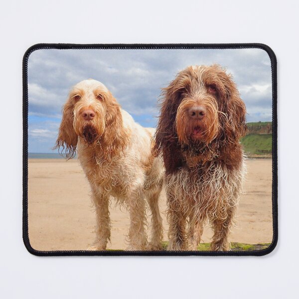 Item preview, On a Rock at the beach Spinoni by heidiannemorris designed and sold by FOLK ART FUSION by heidiannemorris.