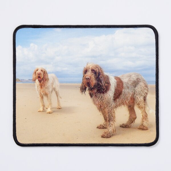 Item preview, Standing on a beach Spinoni by heidiannemorris designed and sold by FOLK ART FUSION by heidiannemorris.