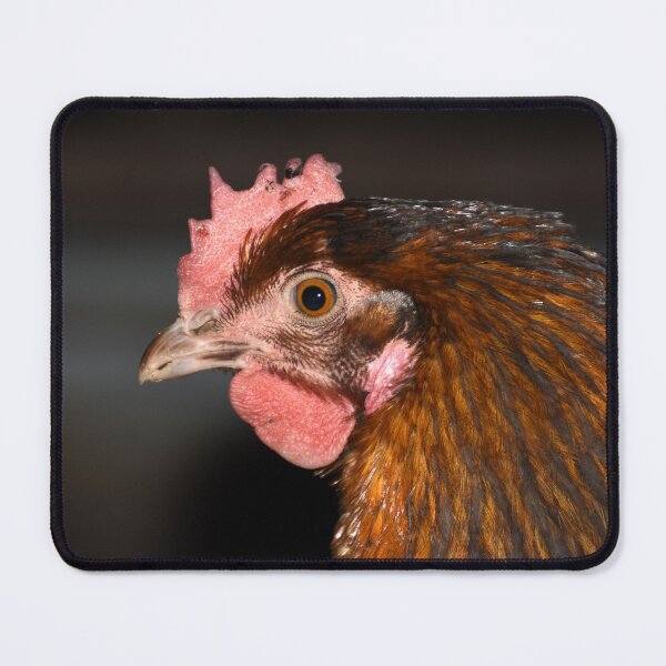 Item preview, Hen designed and sold by RONALD MACKENZIE.