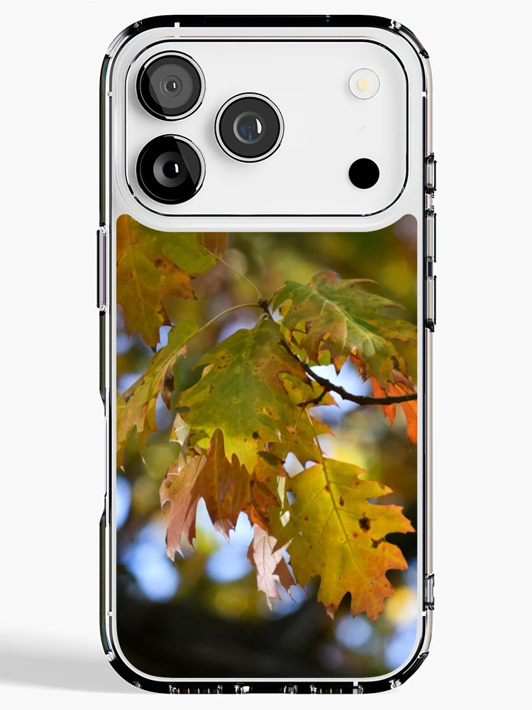 Thumbnail 1 of 5, iPhone Case, Autumn Change designed and sold by Tracy Engle.