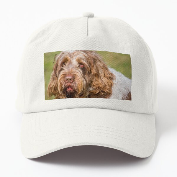 Soft and fluffy Spinone Dad Hat