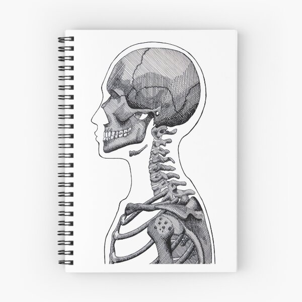 Item preview, Detailed Black and White Human Skeleton - White Background designed and sold by Mallory Harrington.