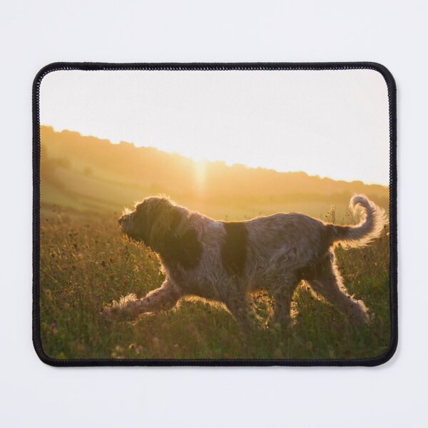 Item preview, Slow sunset Spinone designed and sold by FOLK ART FUSION.