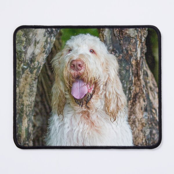 Item preview, Sitting with a tree Spinone designed and sold by FOLK ART FUSION by heidiannemorris.