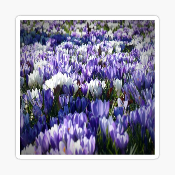 Flowerpattern Sticker