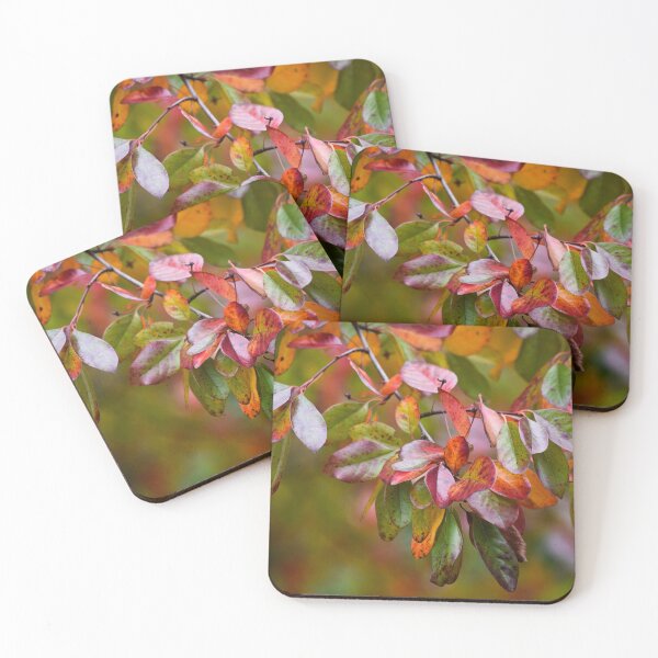 Item preview, Autumnal designed and sold by Tracy Engle.