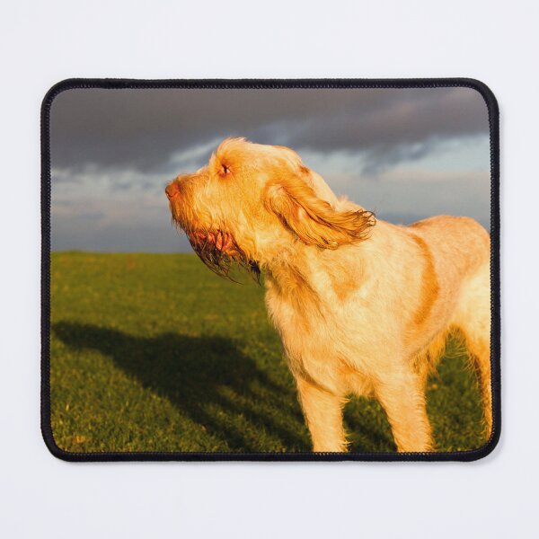 Item preview, Evening breeze Spinone designed and sold by FOLK ART FUSION.