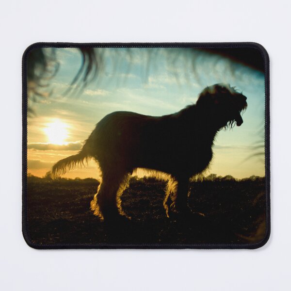 Item preview, Waiting for sunset Spinone designed and sold by FOLK ART FUSION by heidiannemorris.