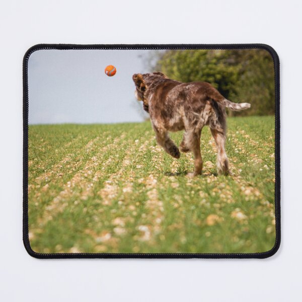 Item preview, Chasing a ball Spinone designed and sold by FOLK ART FUSION by heidiannemorris.