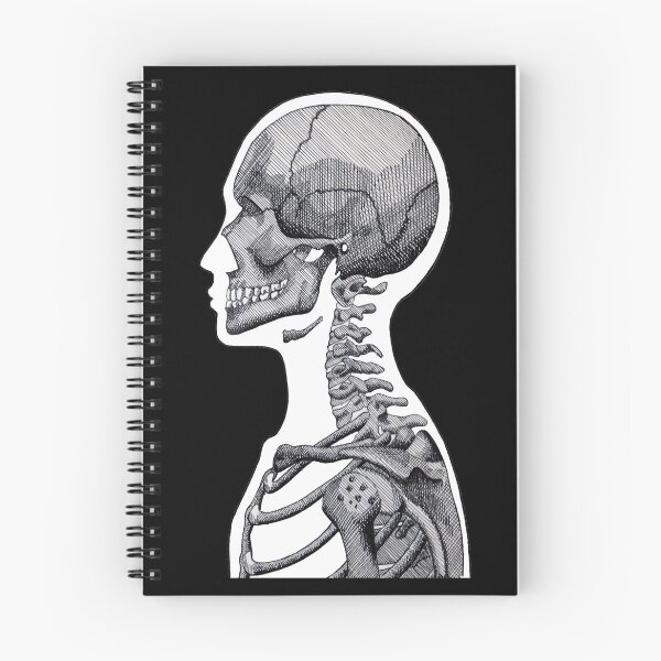 Item preview, Detailed Black and White Human Skeleton - Black Background designed and sold by Mallory Harrington.