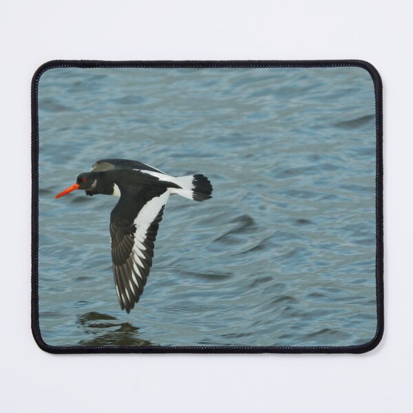 Item preview, I FLY designed and sold by andrewsaxton.